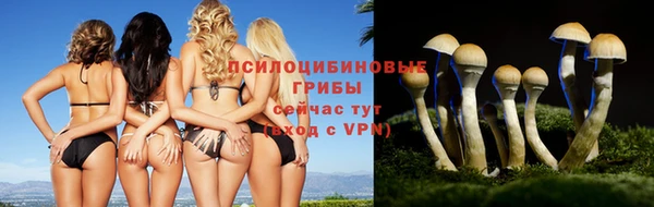 мяу мяу кристалл Балахна