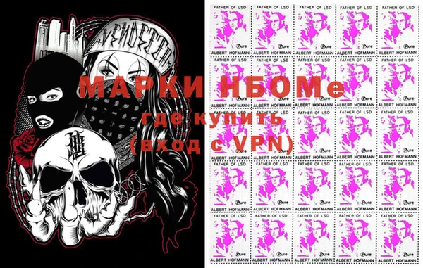 прущие грибы Магас